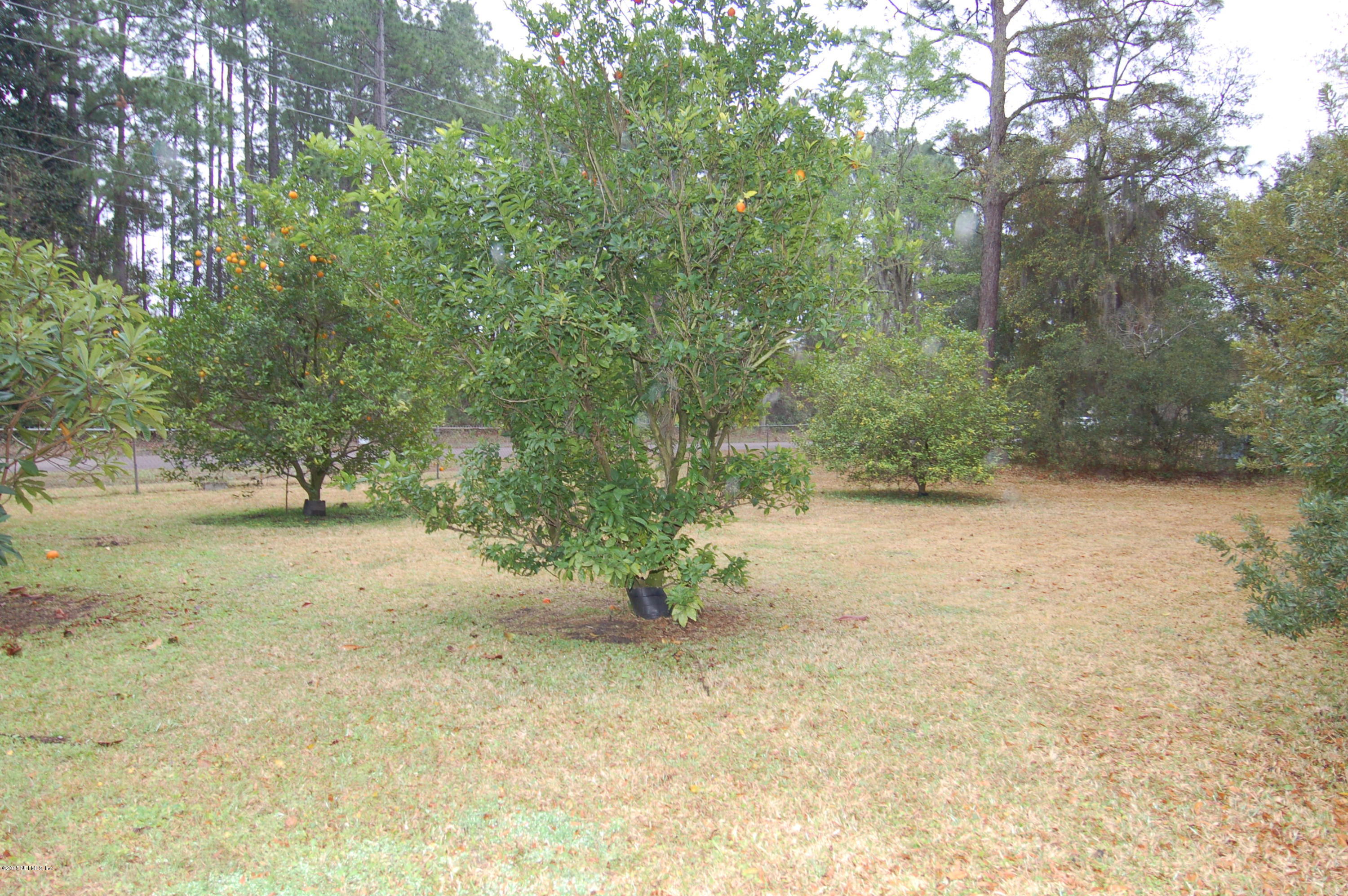 11840 Charlie Road Jacksonville, FL 32218 - Photo 27 of 30 29 Side Lot.JPG