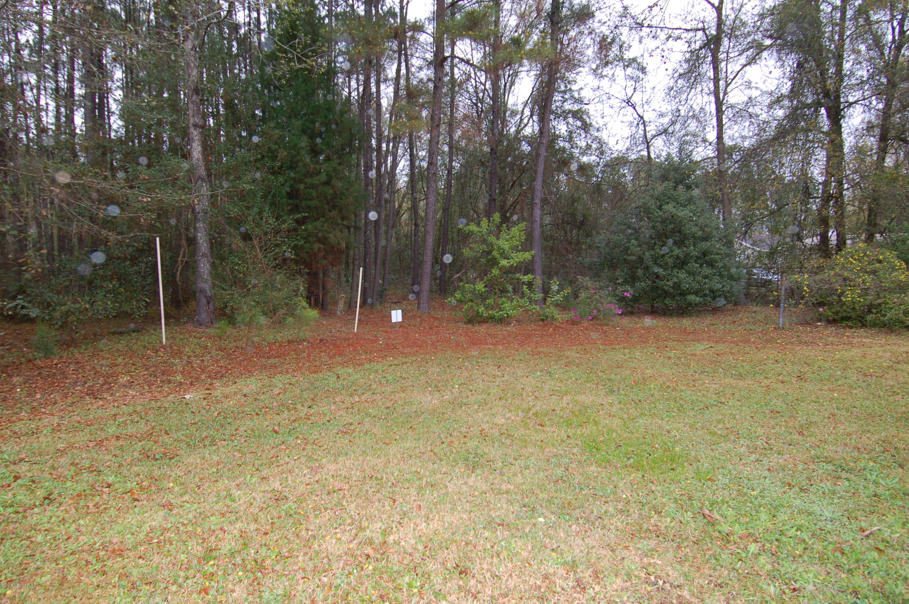 11840 Charlie Road Jacksonville, FL 32218 - Photo 7 of 30 7 Wooded Views.JPG
