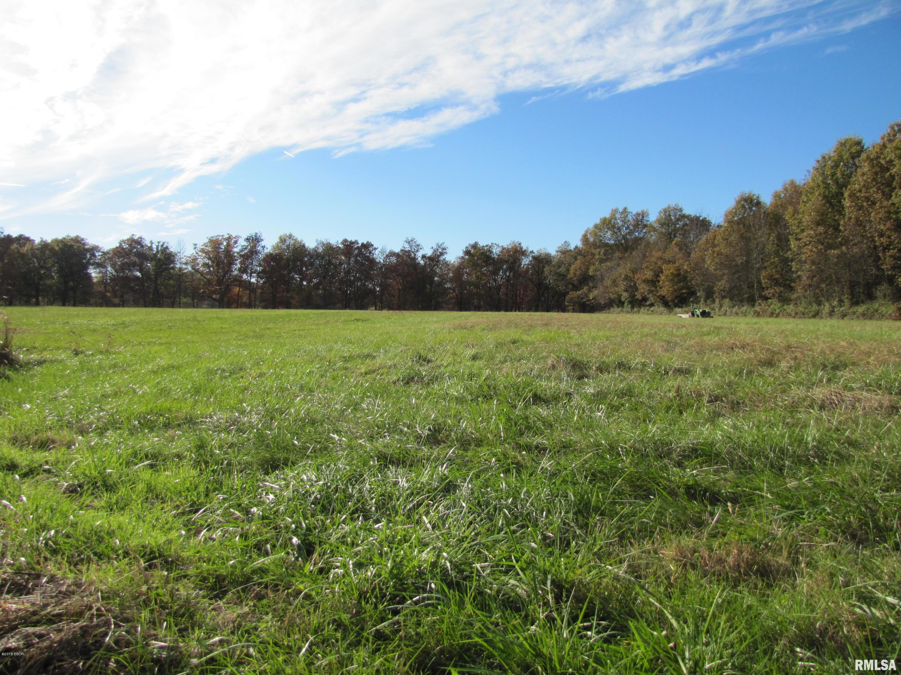 0 Old Yards Road Salem, IL 62881 - Photo 2 of 12