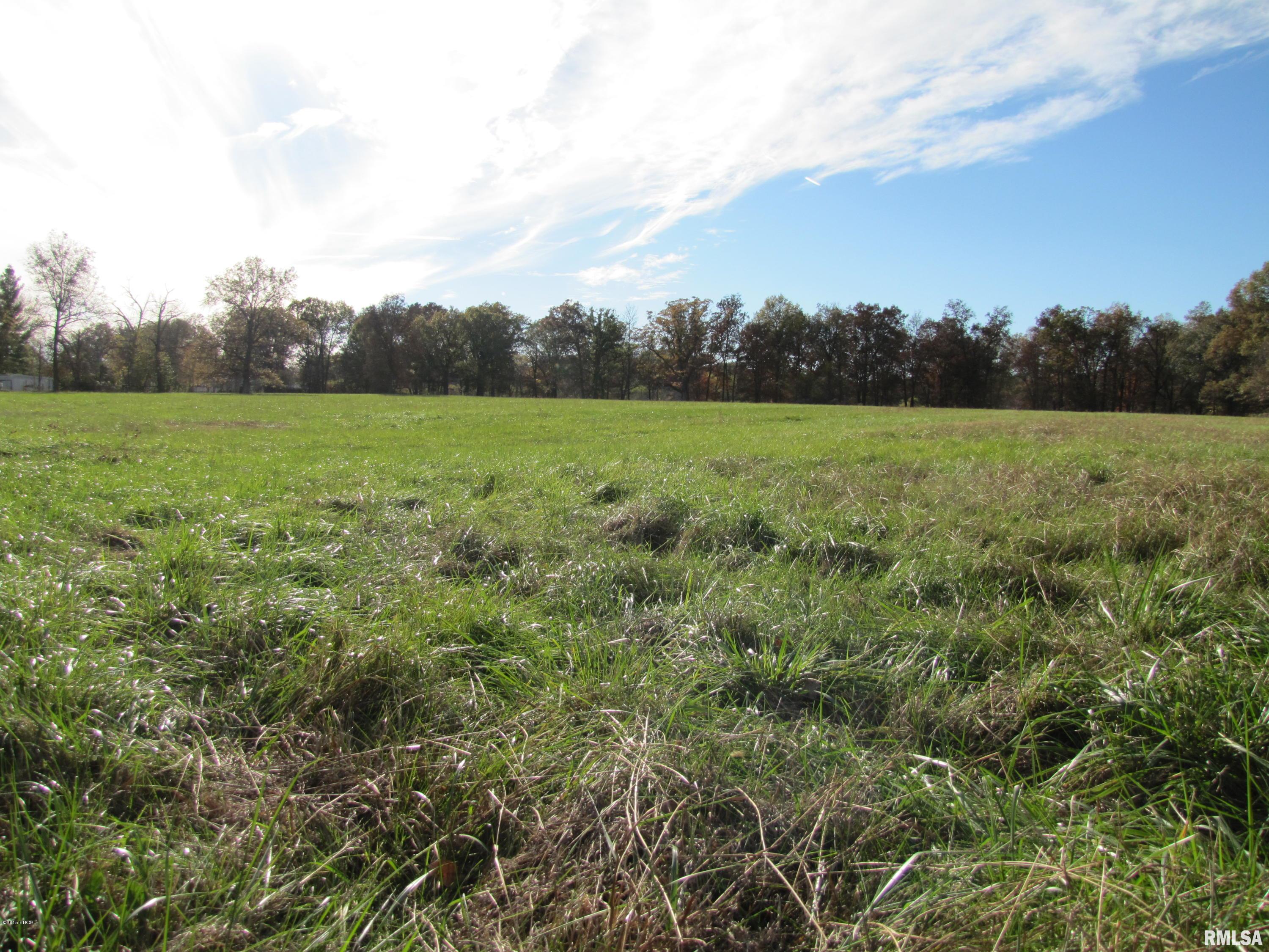 0 Old Yards Road Salem, IL 62881 - Photo 3 of 12