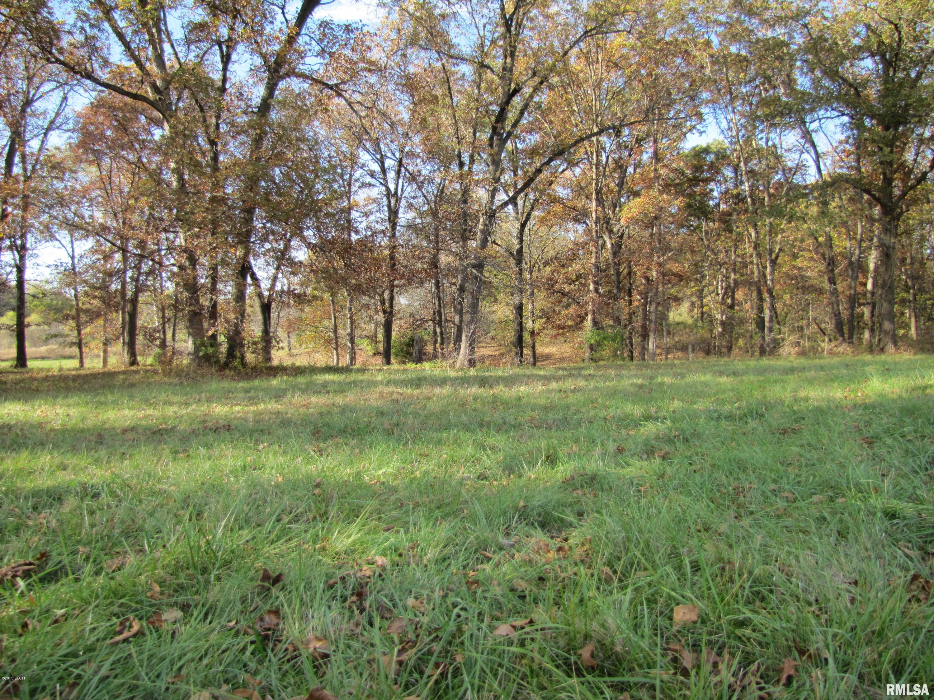 0 Old Yards Road Salem, IL 62881 - Photo 6 of 12