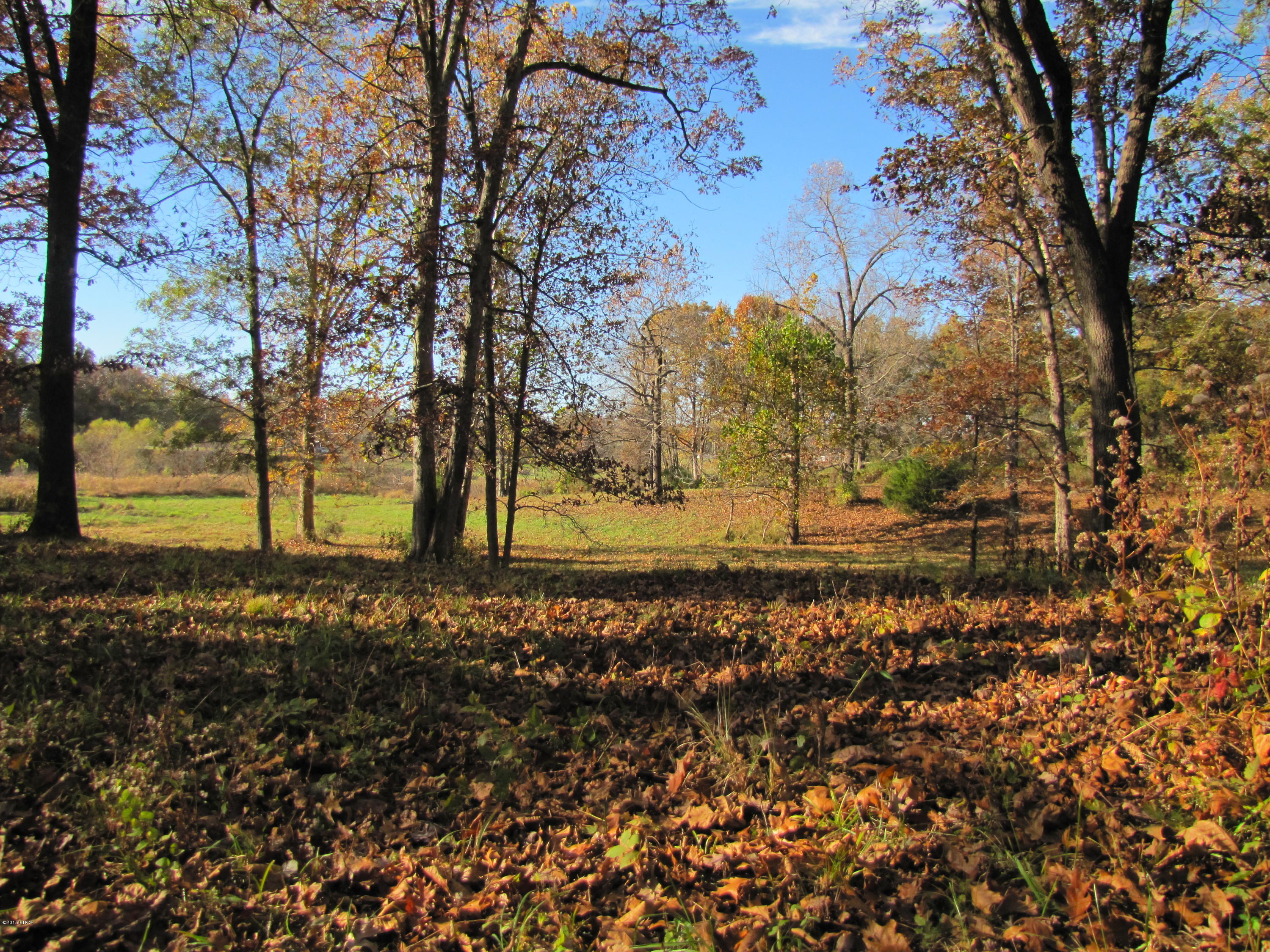 0 Old Yards Road Salem, IL 62881 - Photo 8 of 12