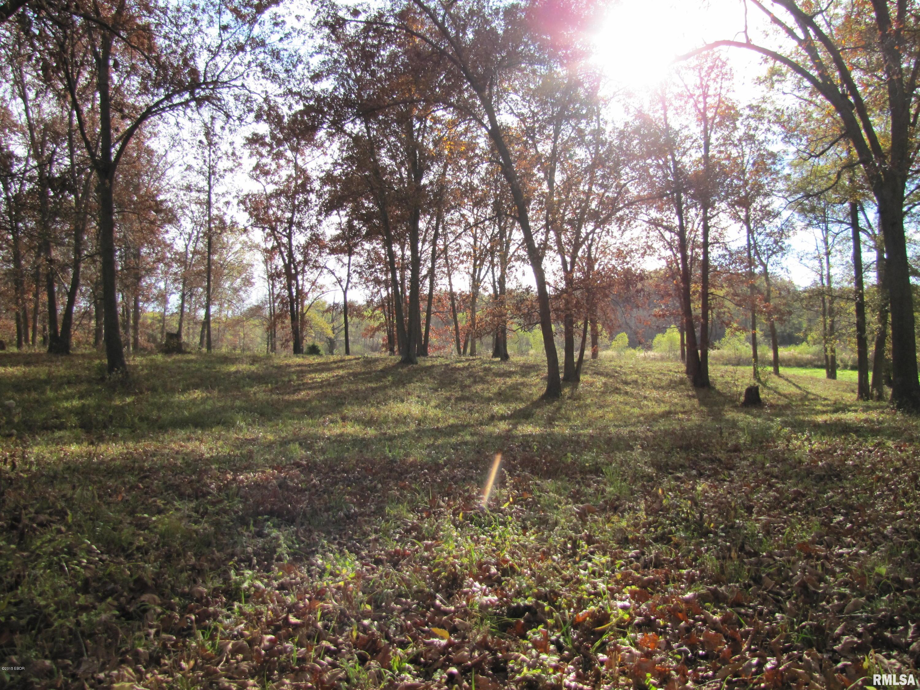 0 Old Yards Road Salem, IL 62881 - Photo 10 of 12