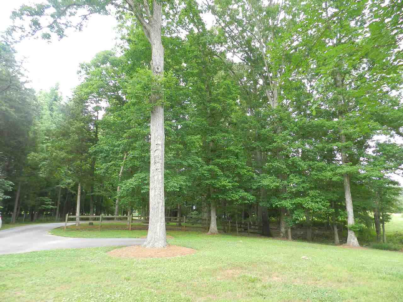 852 State Rd S-11-231 Gaffney, SC 29340 - Photo 3 of 34 Gallery Image 3