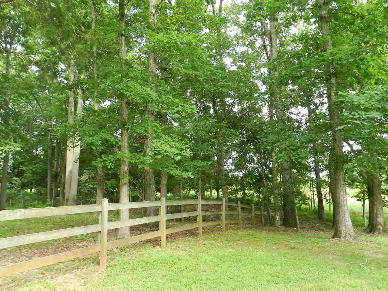 852 State Rd S-11-231 Gaffney, SC 29340 - Photo 5 of 34 Gallery Image 5