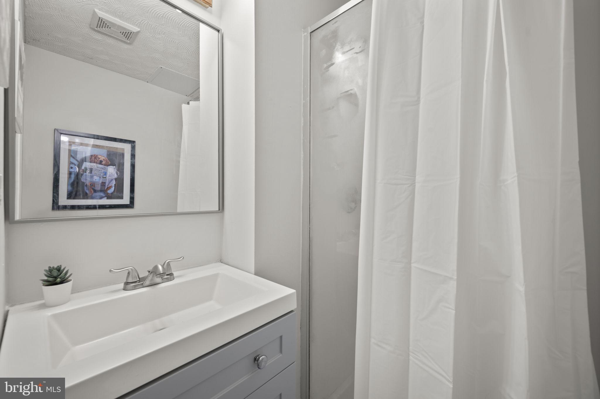 1492 Dockside Court Frederick, MD 21701 - Photo 30 of 43 lower level bath