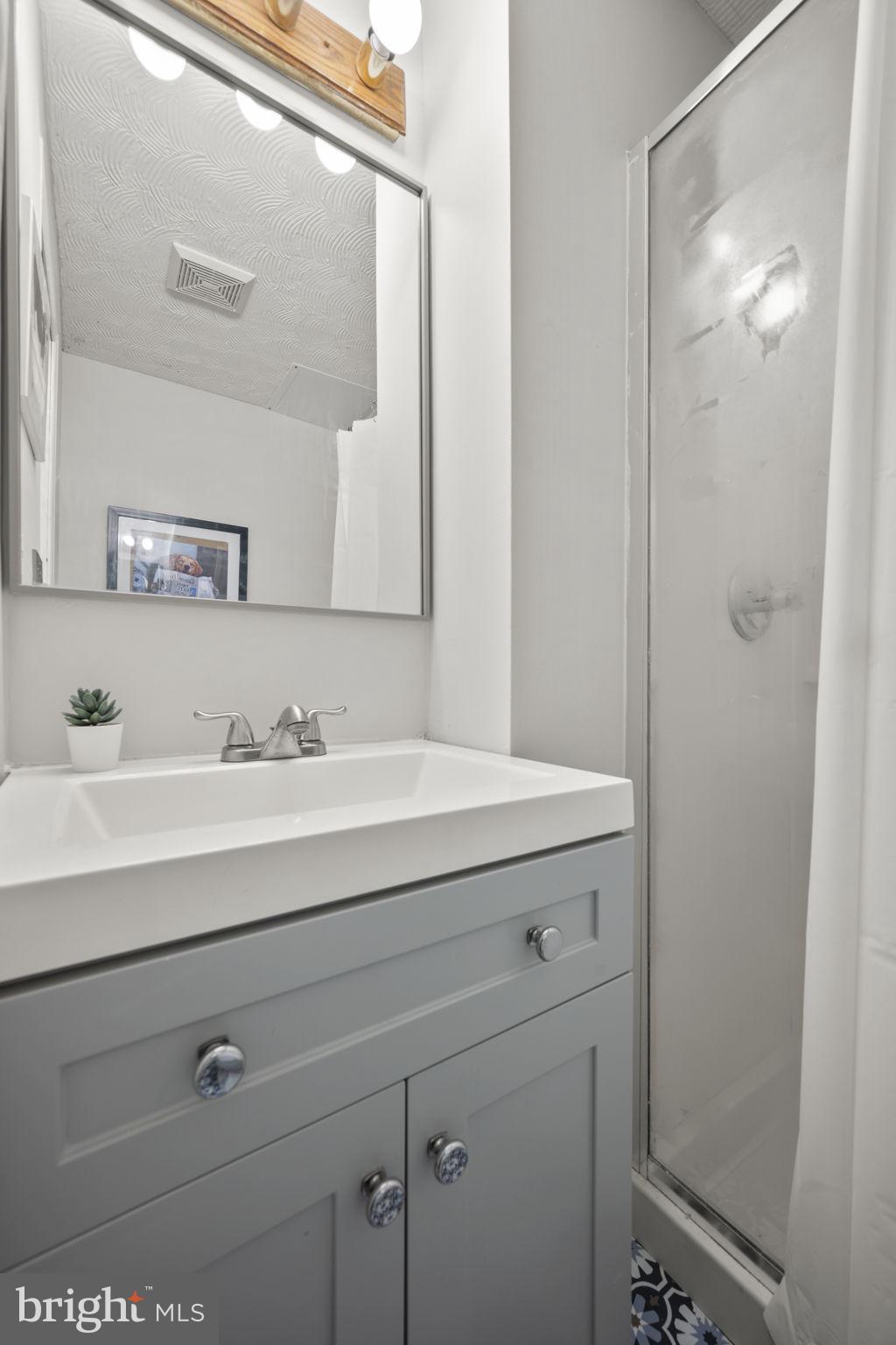 1492 Dockside Court Frederick, MD 21701 - Photo 32 of 43 shower in lower level full bath