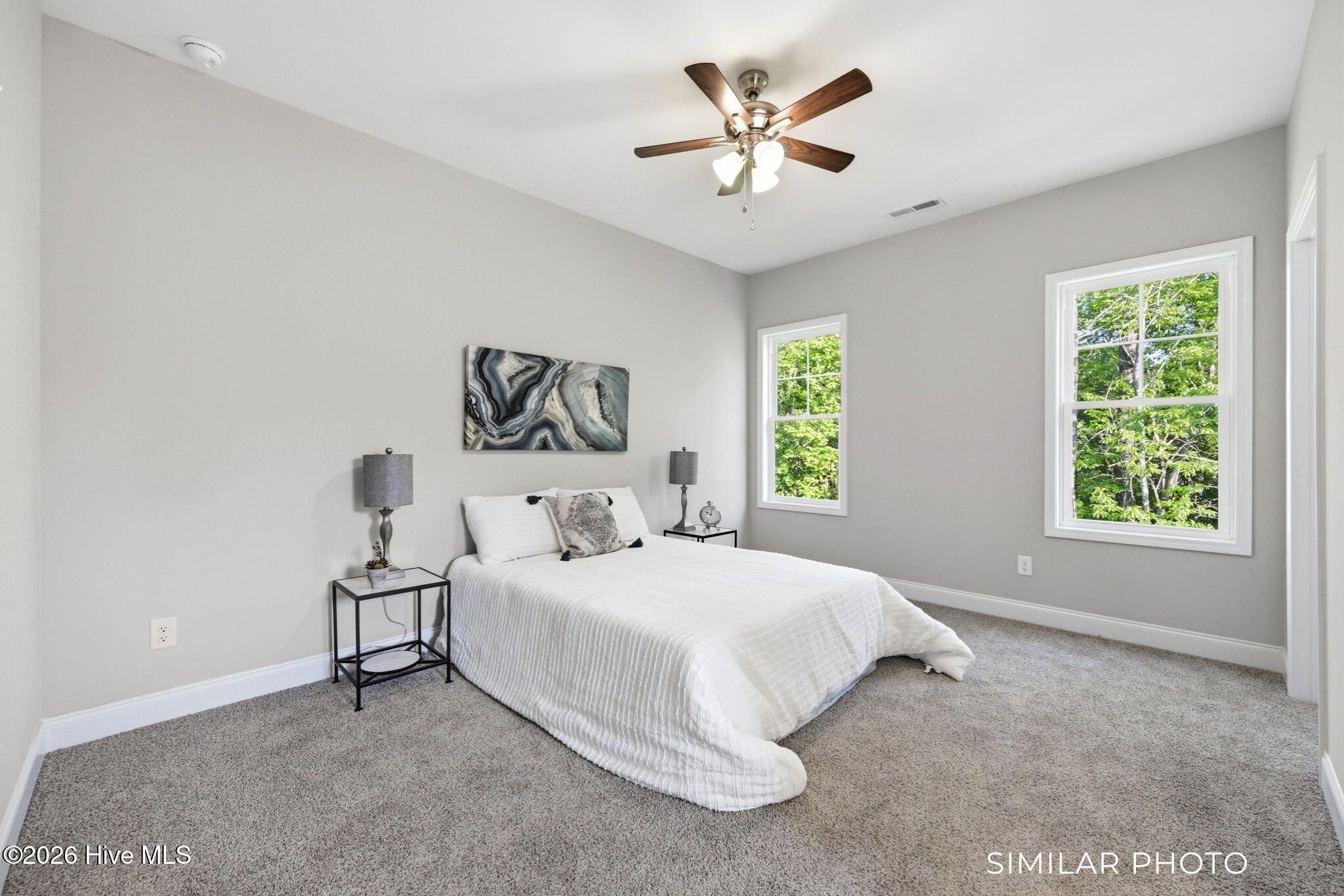 207 Holly Sands Loop Sneads Ferry, NC 28460 - Photo 20 of 45 Similar Photo - Primary Bedroom