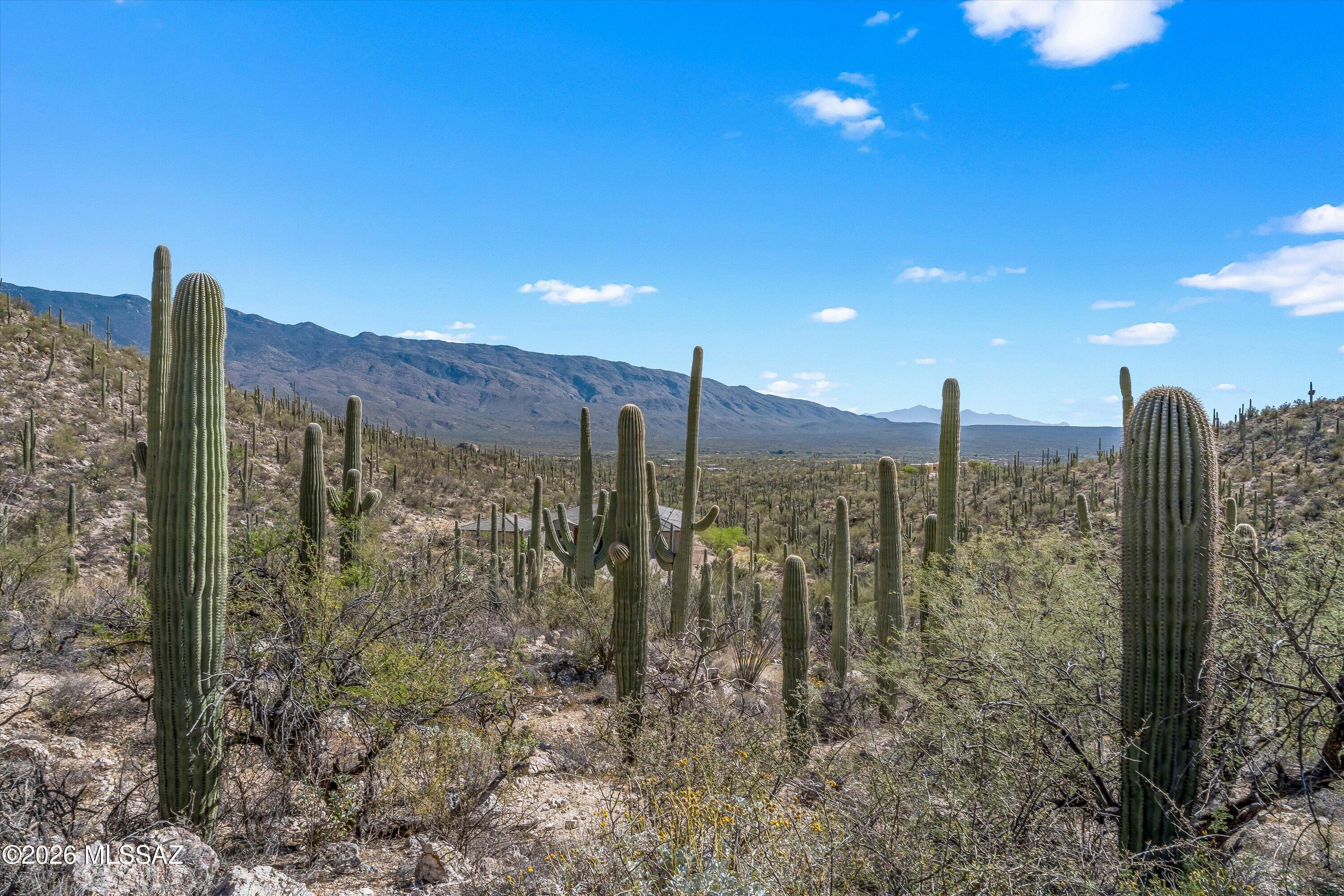 13716 Placita Del Inca, Unit 8 Tucson, AZ 85749 - Photo 10 of 37