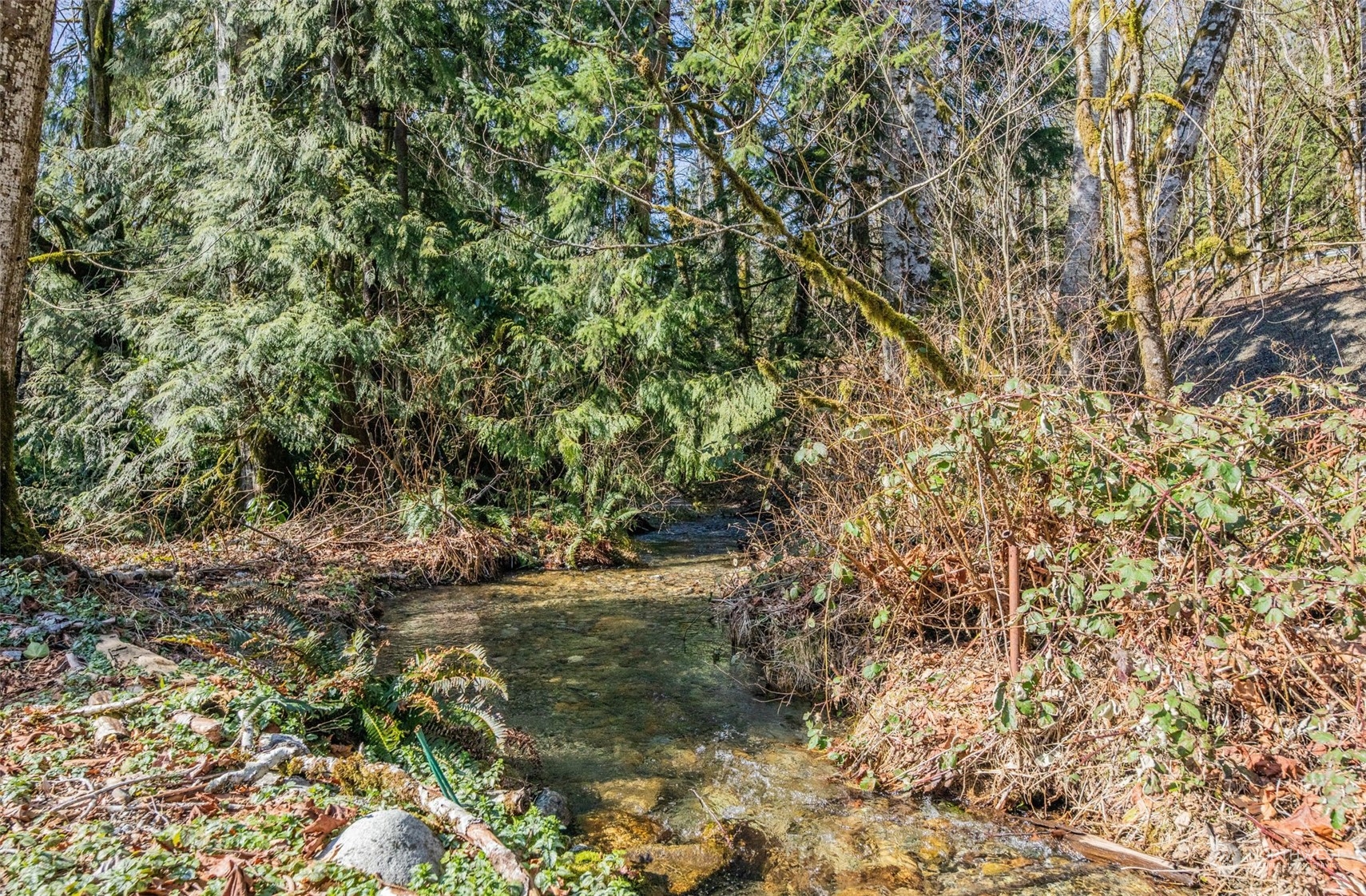 48514 Gold Bar-index Road Index, WA 98256 - Photo 40 of 40 Gallery Image 40