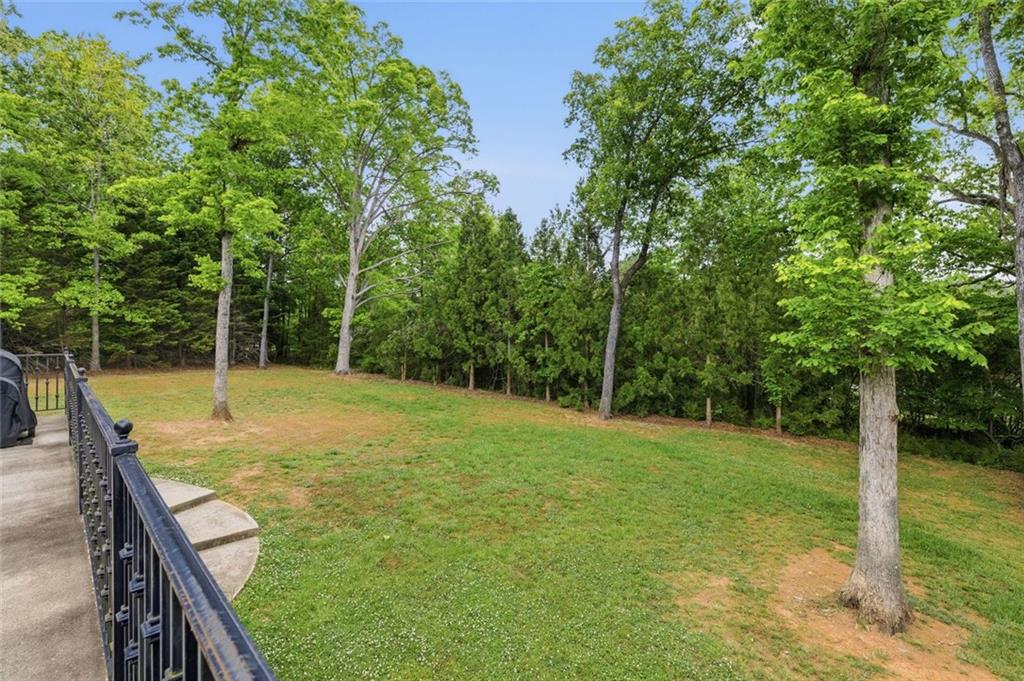 6654 Windvane Point Clermont, GA 30527 - Photo 30 of 70