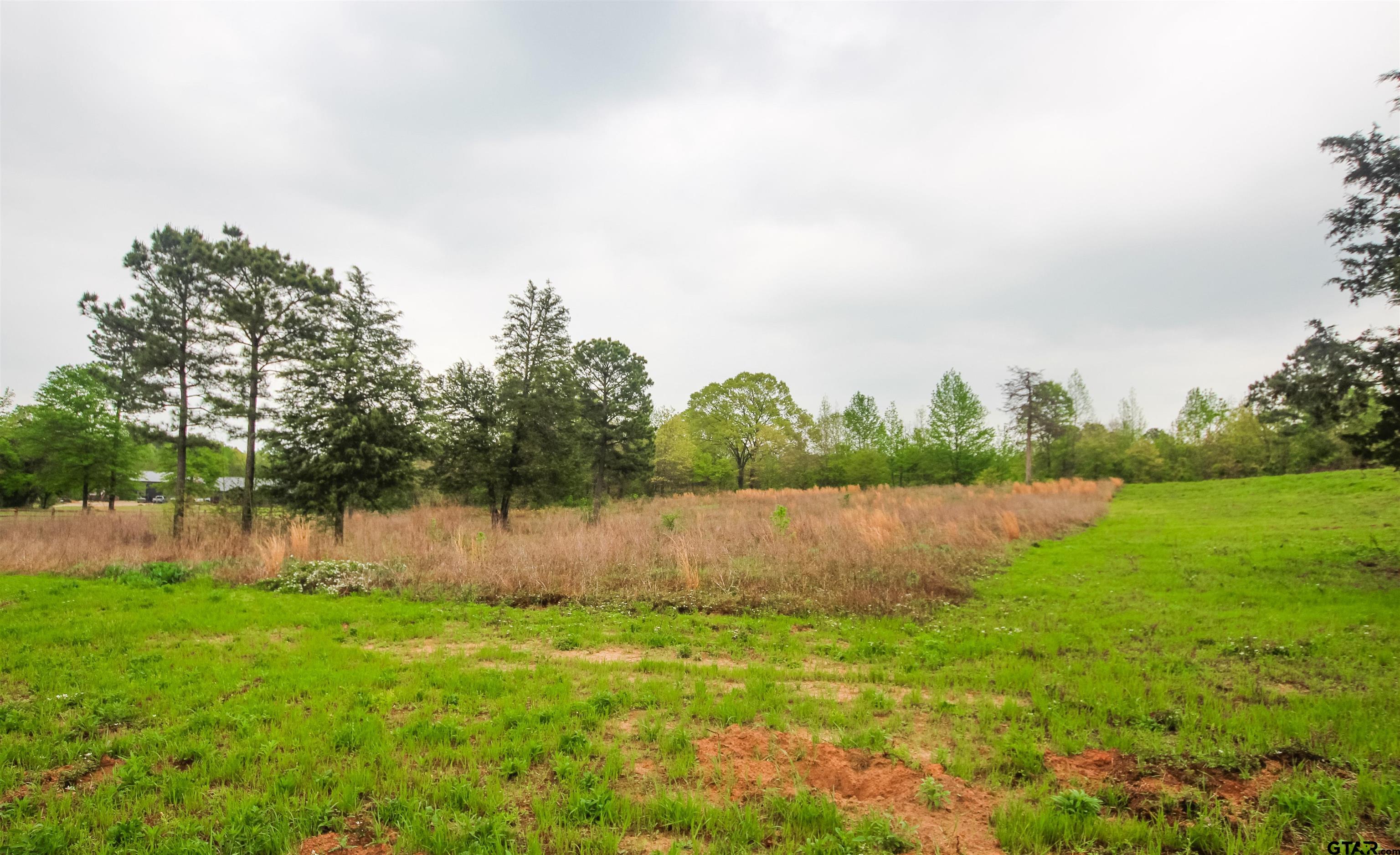 36 Ridgeline Loop Winona, TX 75792 - Photo 2 of 4