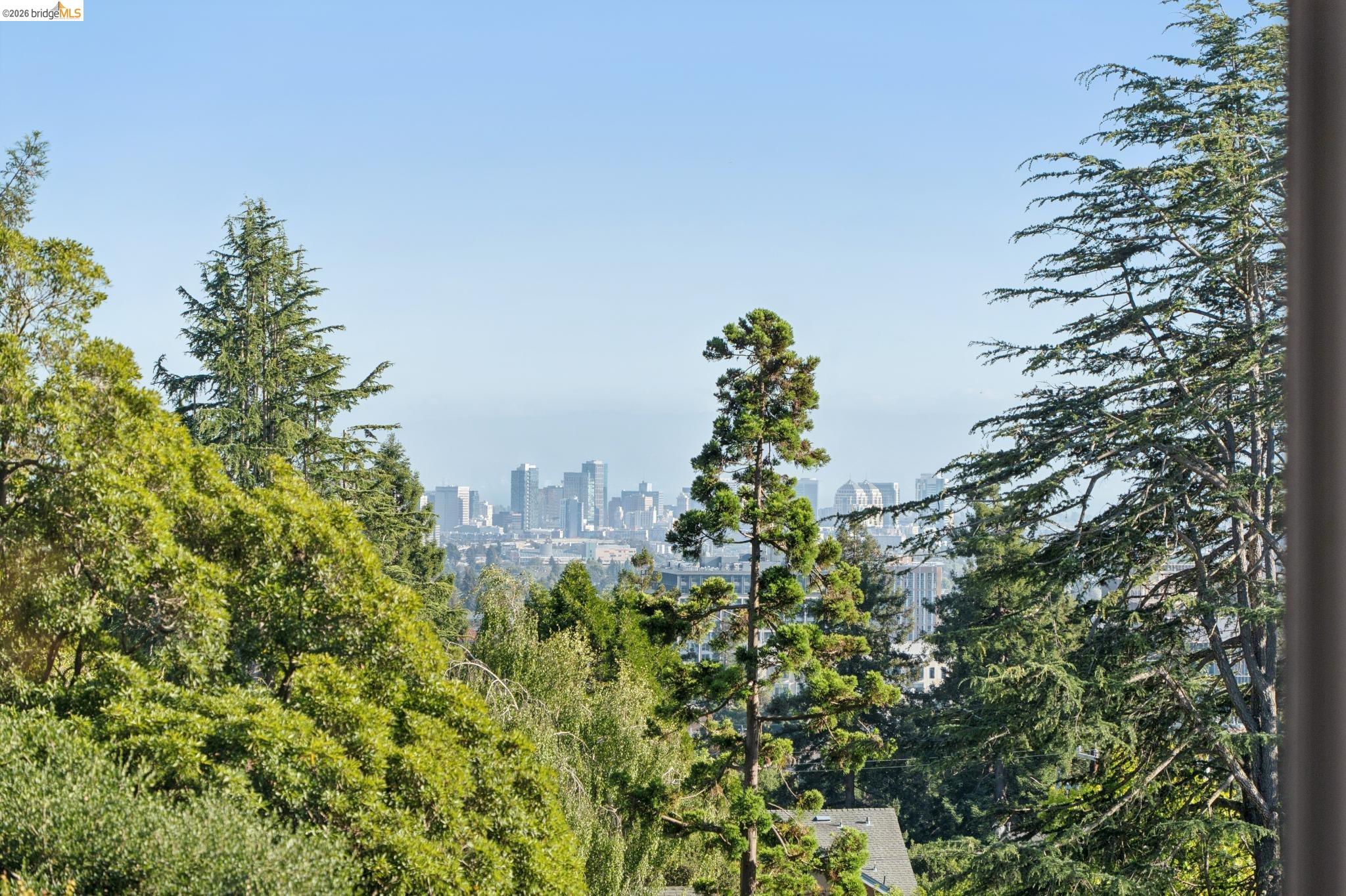 2301 Oak Street Berkeley, CA 94708 - Photo 39 of 61 Distant city skyline framed by mature evergreen and deciduous trees