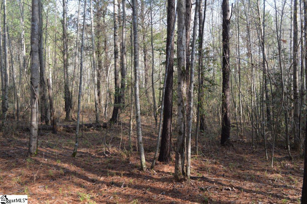 826 Dunklin Bridge Road Pelzer, SC 29669 - Photo 11 of 24