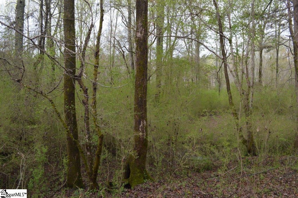 826 Dunklin Bridge Road Pelzer, SC 29669 - Photo 13 of 24