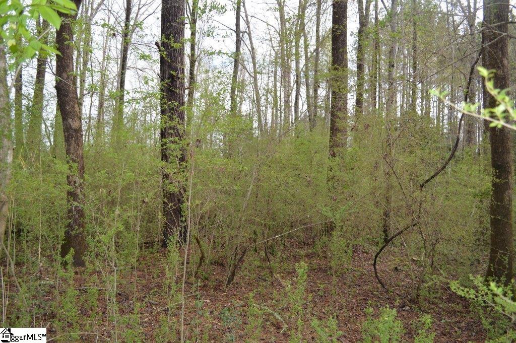 826 Dunklin Bridge Road Pelzer, SC 29669 - Photo 14 of 24