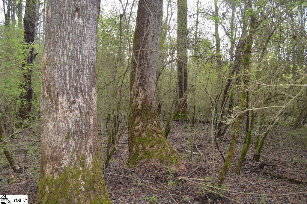 826 Dunklin Bridge Road Pelzer, SC 29669 - Photo 16 of 24