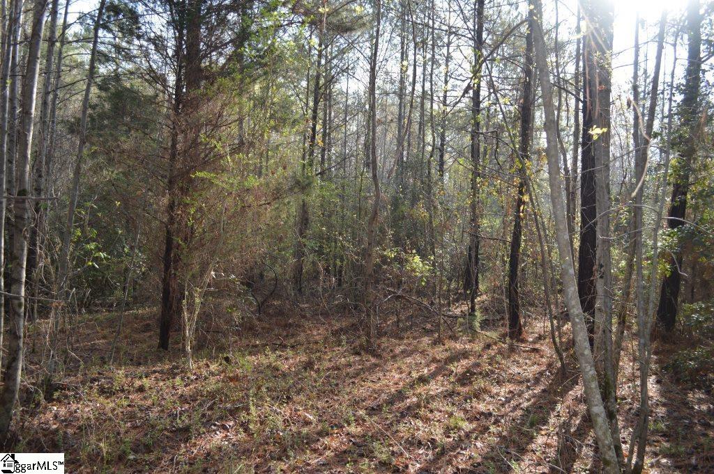 826 Dunklin Bridge Road Pelzer, SC 29669 - Photo 17 of 24