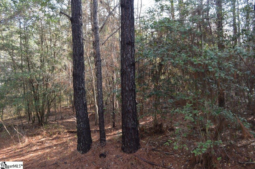 826 Dunklin Bridge Road Pelzer, SC 29669 - Photo 3 of 24