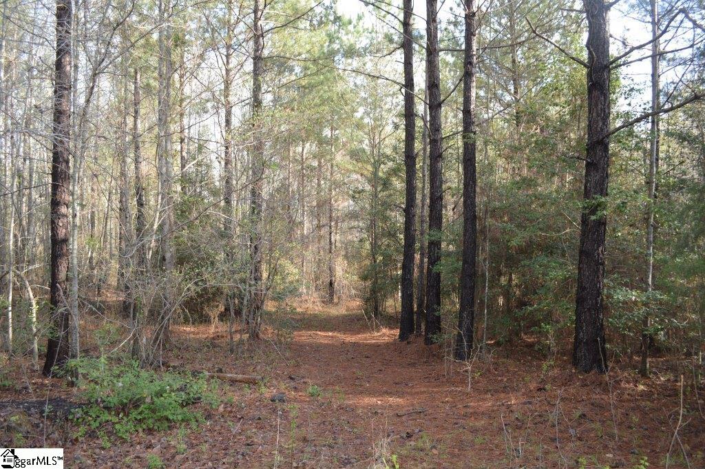 826 Dunklin Bridge Road Pelzer, SC 29669 - Photo 5 of 24