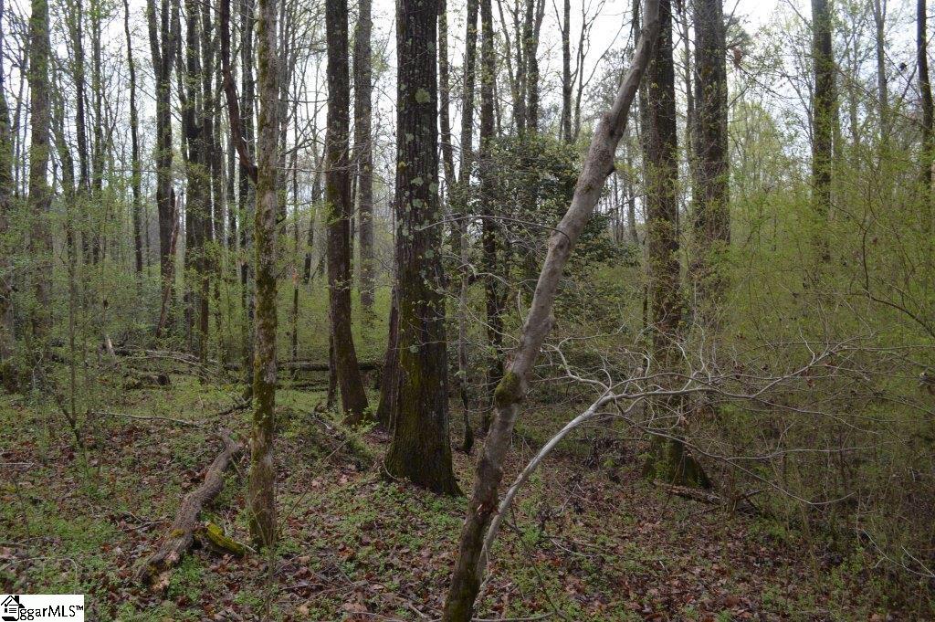 826 Dunklin Bridge Road Pelzer, SC 29669 - Photo 7 of 24