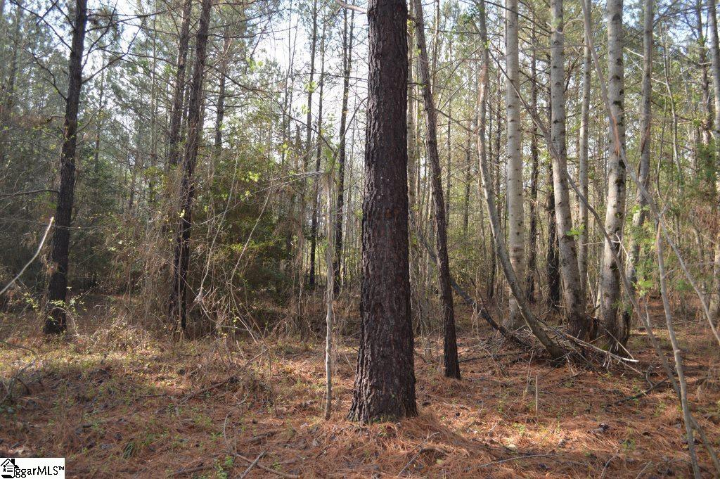 826 Dunklin Bridge Road Pelzer, SC 29669 - Photo 8 of 24