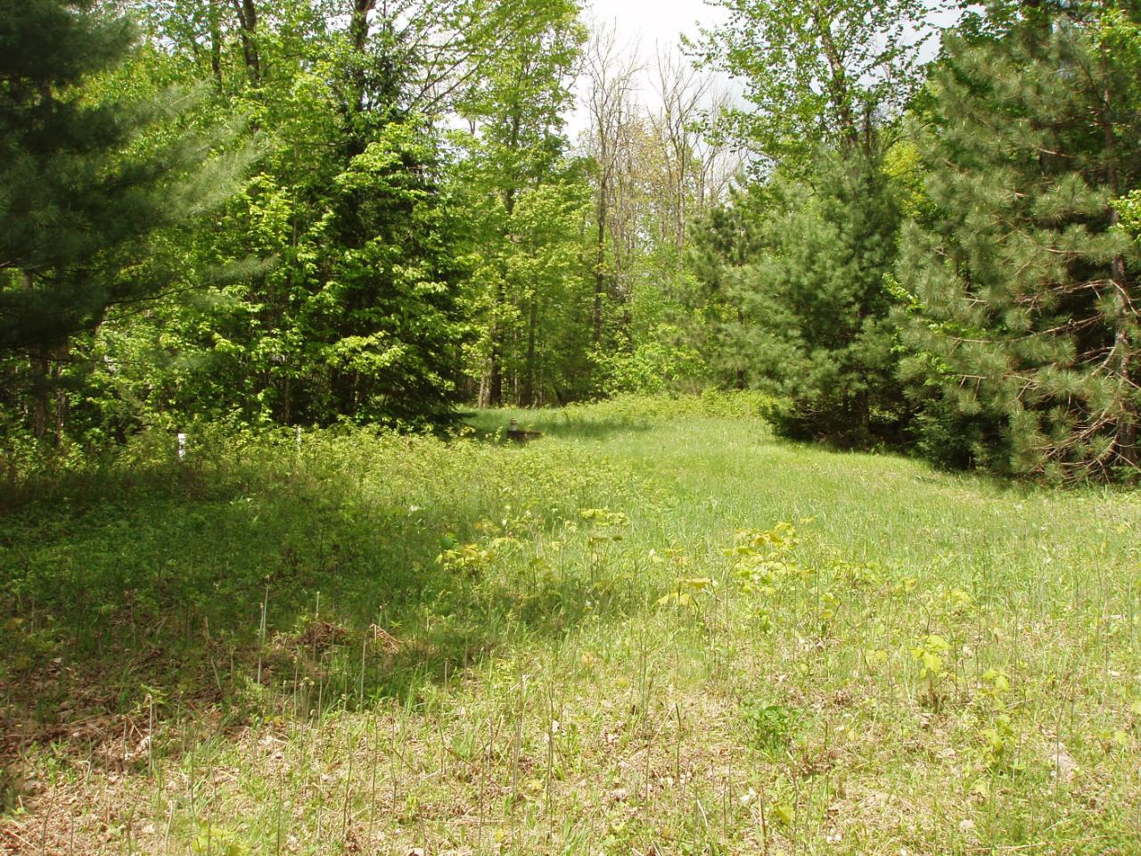 30671 Long Lake Road, Unit PCL 1 & 2 Mellen, WI 54546 - Photo 3 of 19 Gallery Image 3