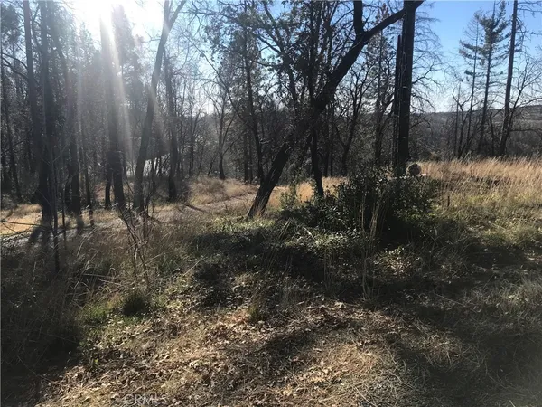$82,000 | 0 Four M Court, Berry Creek, CA 95916