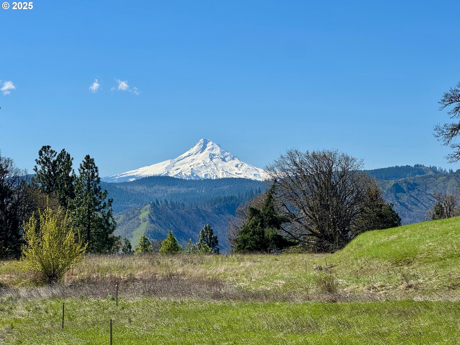250 Courtney Road White Salmon, WA 98672 - Photo 1 of 27 Gallery Image 1