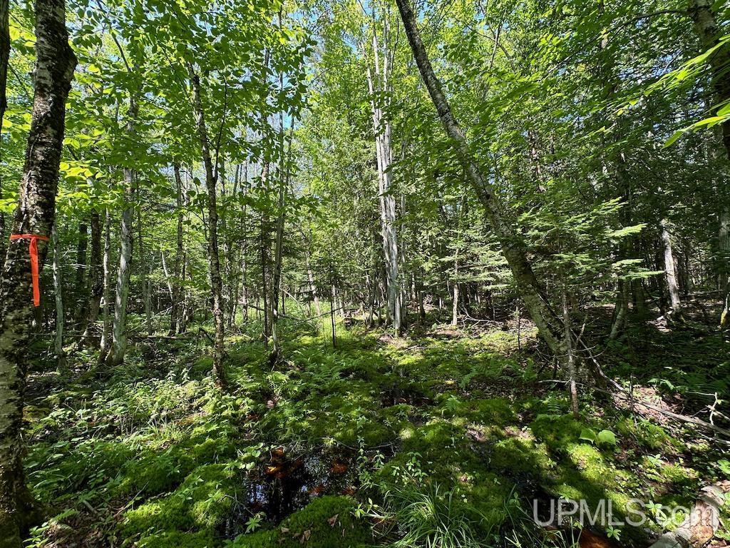 Parcel B Webb Road Grand Marais, MI 49839 - Photo 27 of 28