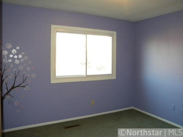 3560 156th Street West Rosemount, MN 55068 - Photo 5 of 9