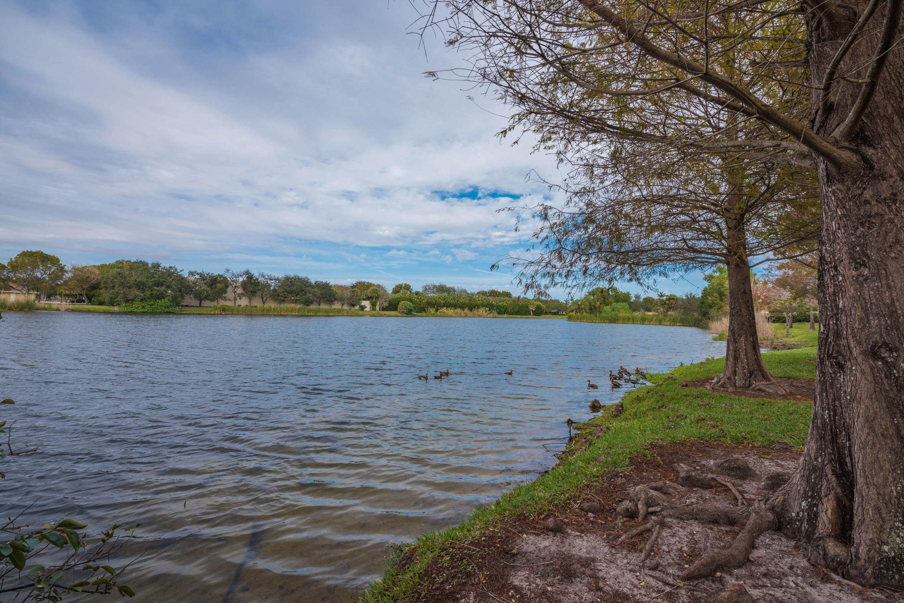 9396 Gettysburg Road Boca Raton, FL 33434 - Photo 35 of 39 community park