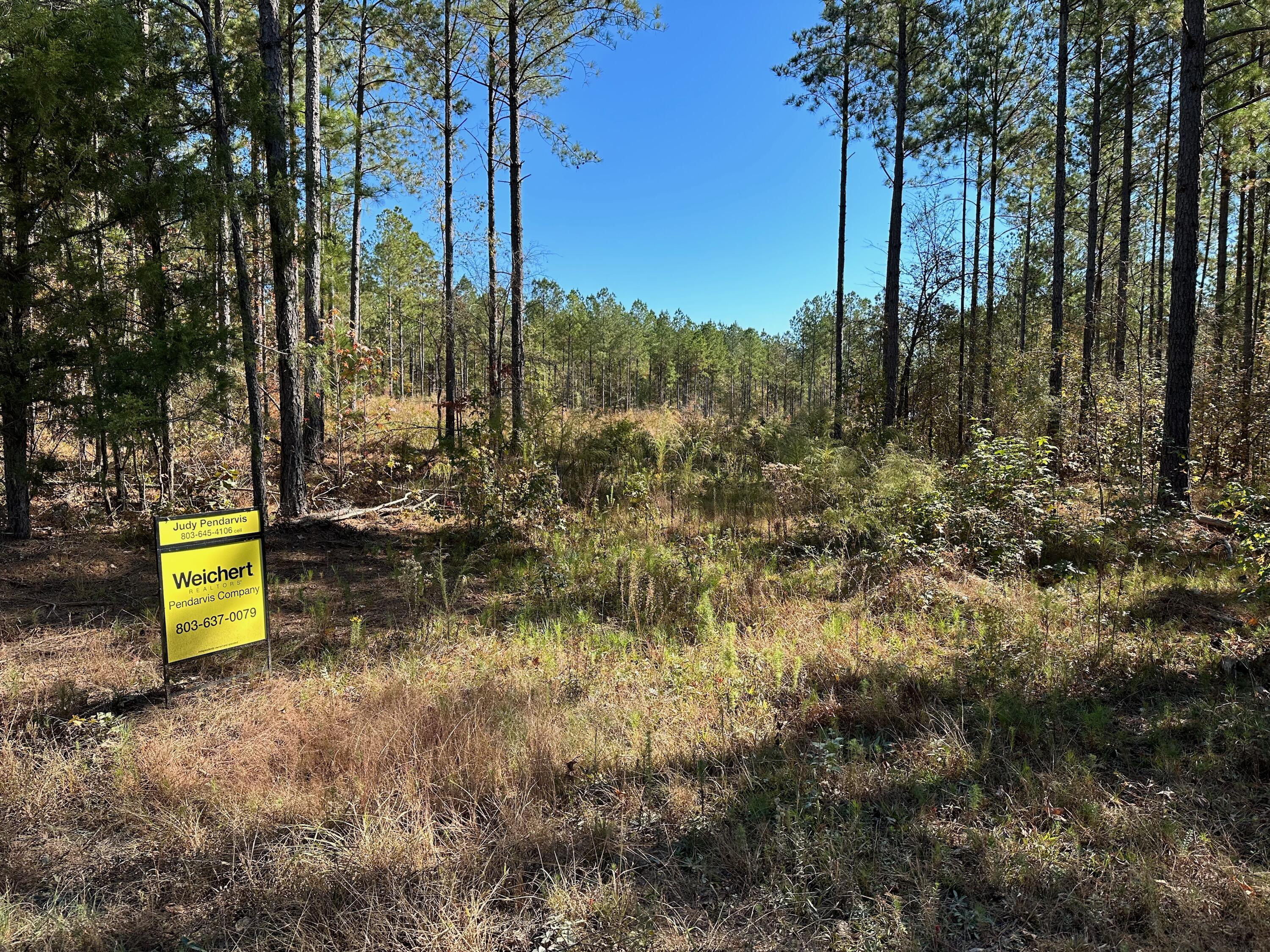Tbd Turkey Road Edgefield, SC 29824 - Photo 3 of 3