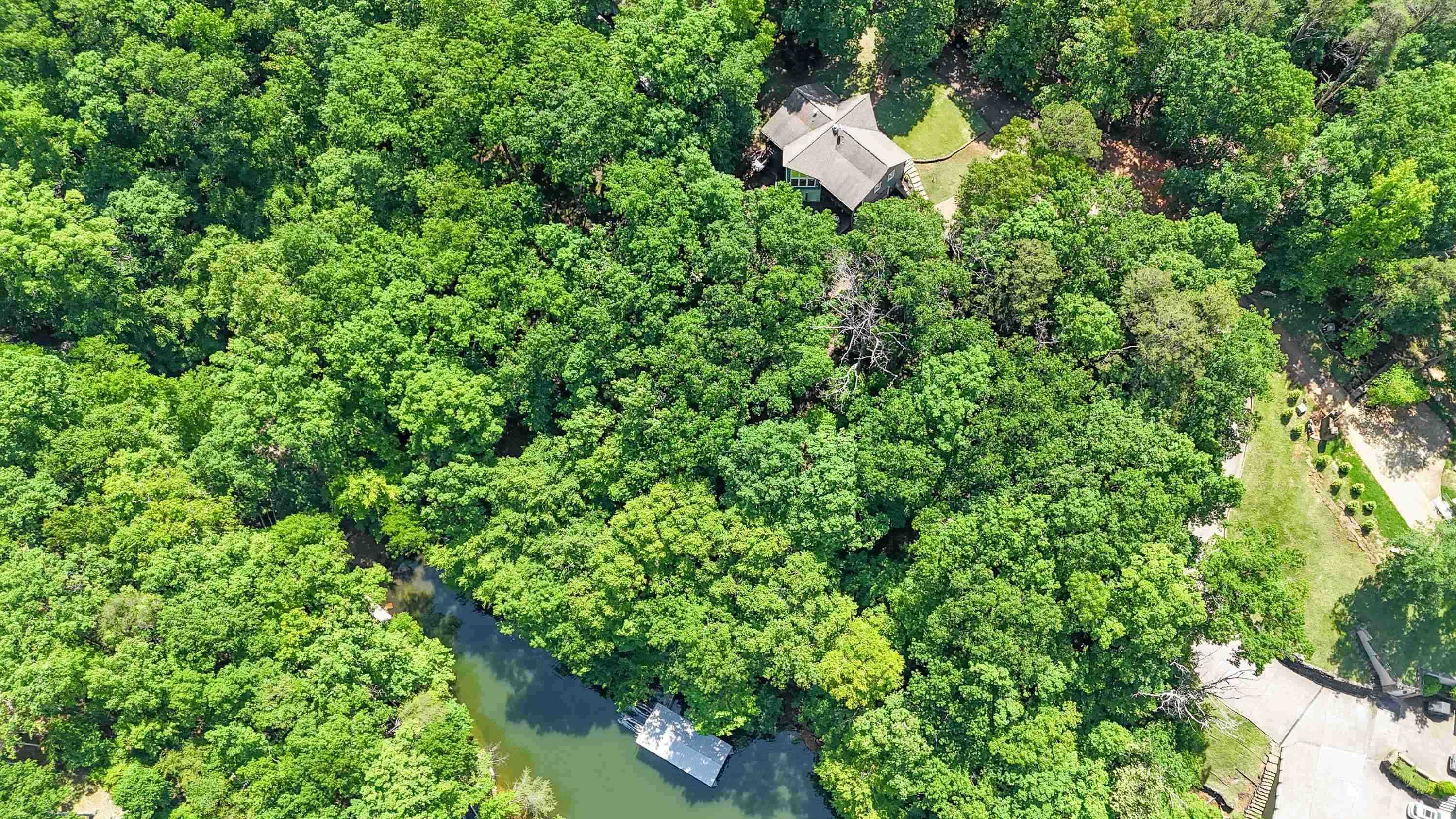 140 Ridge View Savannah, TN 38372 - Photo 33 of 36 a backyard of a house with lots of green space
