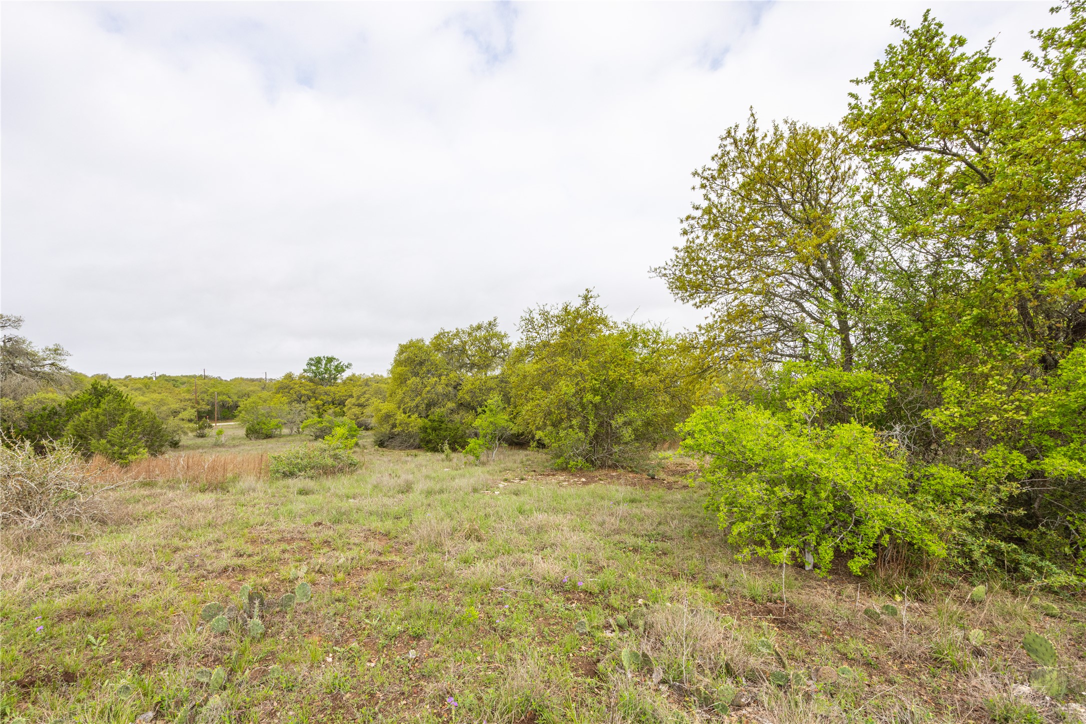 Tbd Tbd Logan's Way Blanco, TX 78606 - Photo 10 of 25 View of landscape