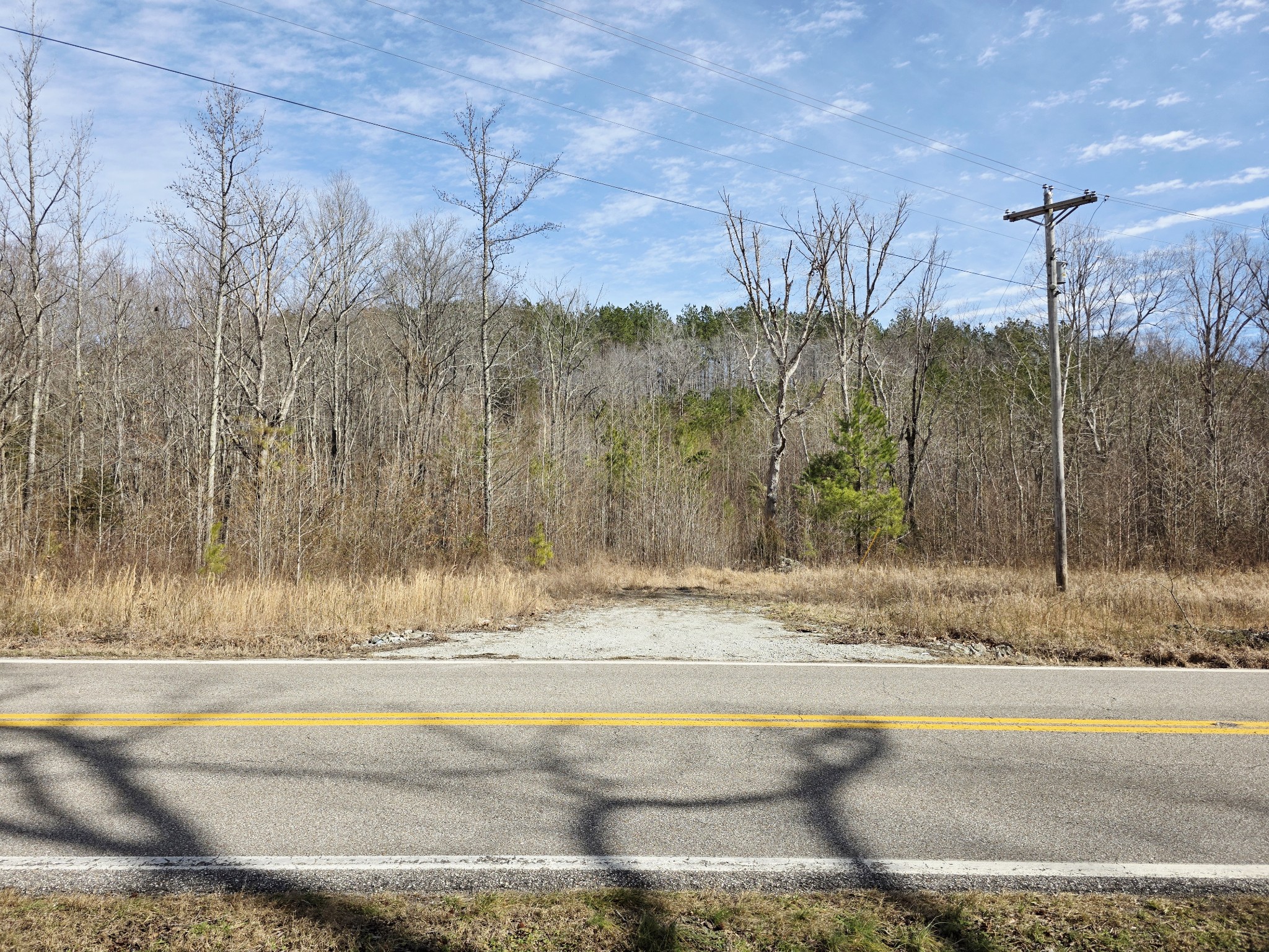 0 Birdsong Road Holladay, TN 38341 - Photo 5 of 70