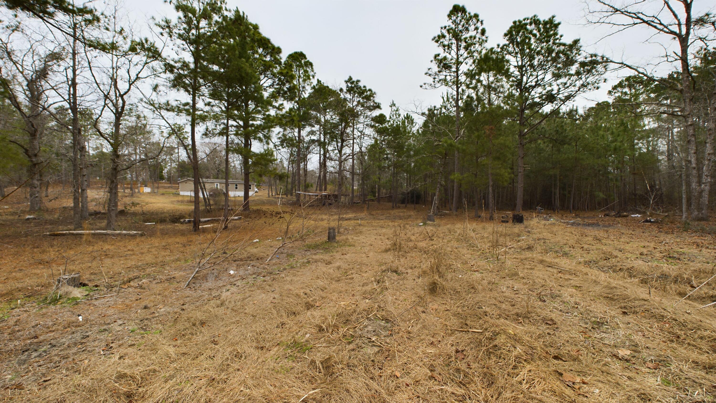 433 Bounty Road Eutawville, SC 29048 - Photo 20 of 20 CAM04885G0-PR0013-STILL022