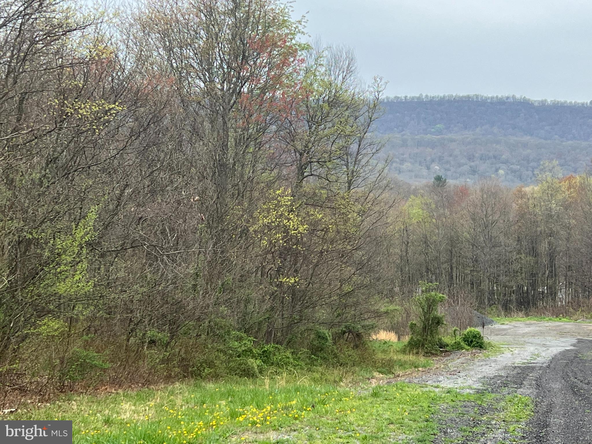 Lot #15 Ridge Way Drive Bedford, PA 15522 - Photo 3 of 5 a view of a forest with a tree in the background