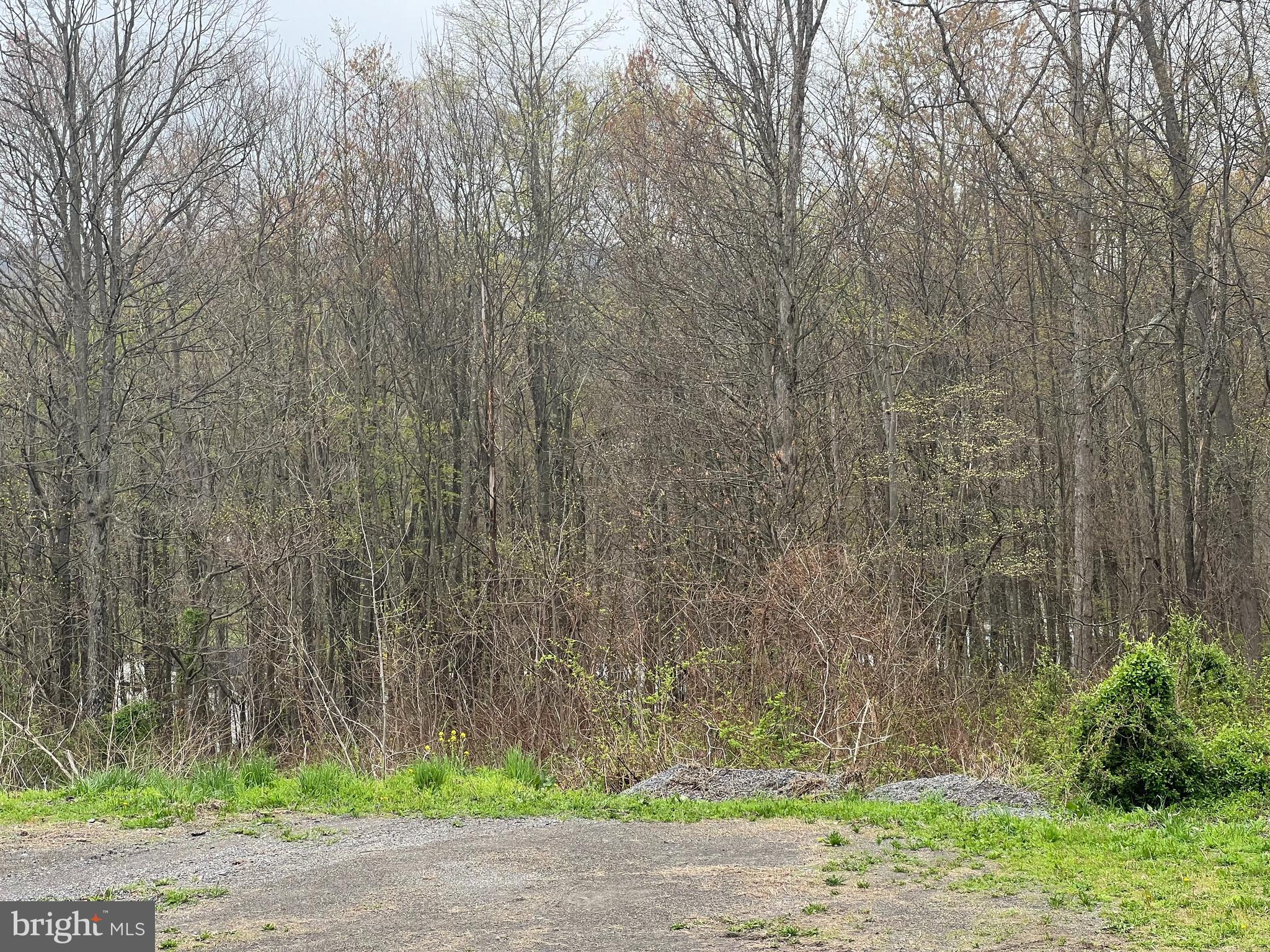 Lot #15 Ridge Way Drive Bedford, PA 15522 - Photo 4 of 5 a backyard of a house with plants and trees