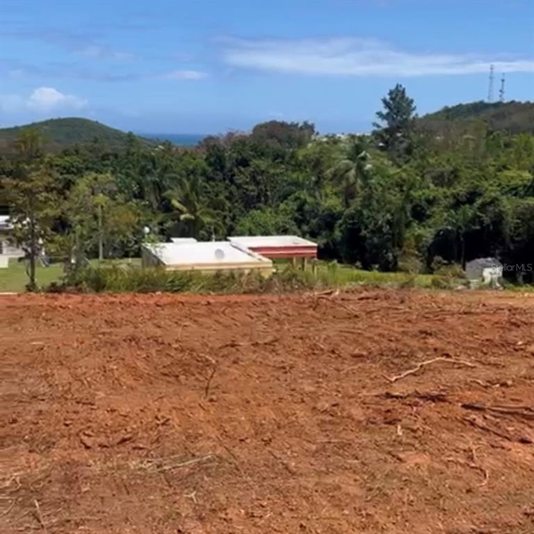 975 Lot Ceiba, PR 00735 - Photo 1 of 1