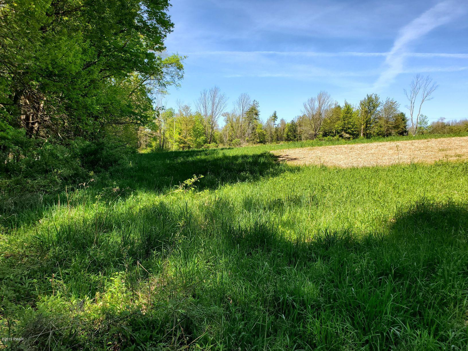 Ledgedale Rd Lake Lake Ariel, PA 18436 - Photo 2 of 10
