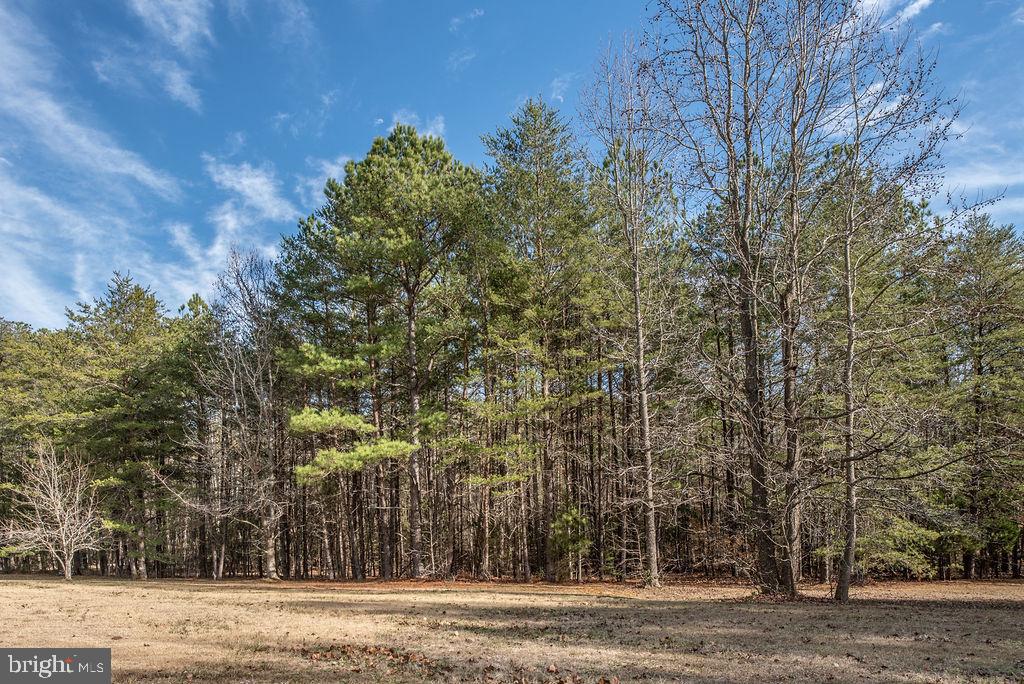18128 Stoney Point Road King George, VA 22485 - Photo 18 of 49 Gallery Image 18