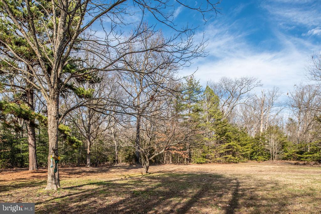 18128 Stoney Point Road King George, VA 22485 - Photo 24 of 49 Gallery Image 24