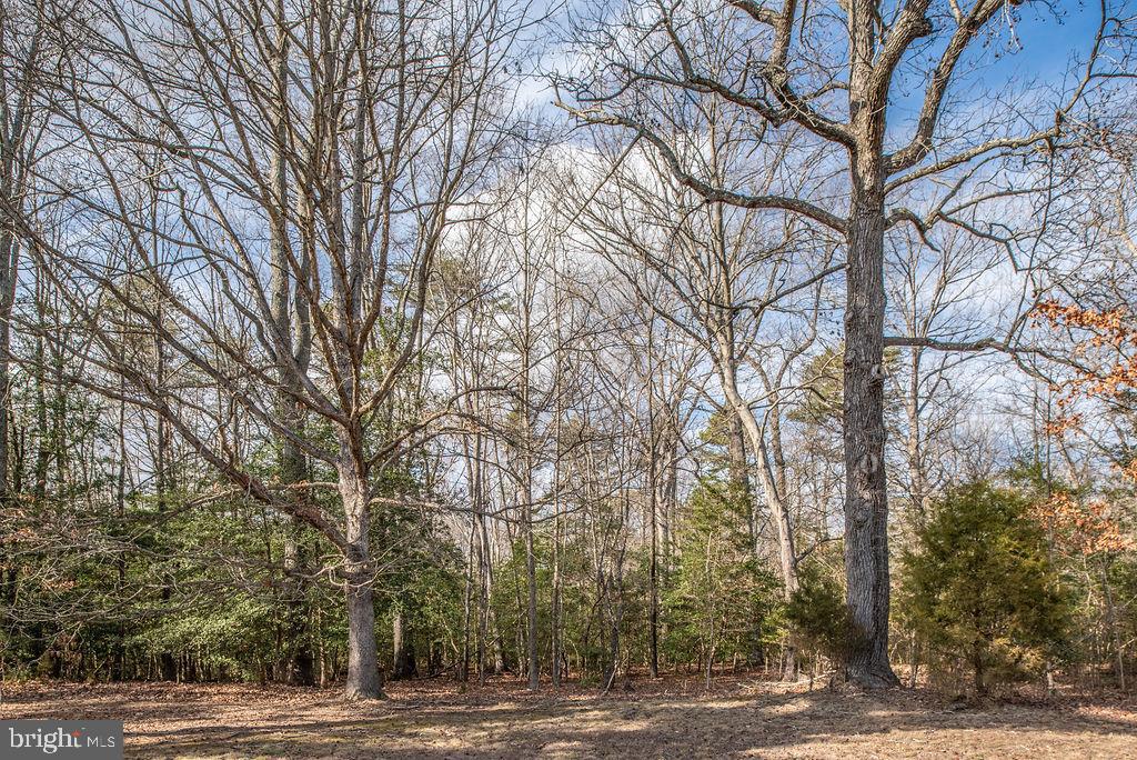 18128 Stoney Point Road King George, VA 22485 - Photo 27 of 49 Gallery Image 27