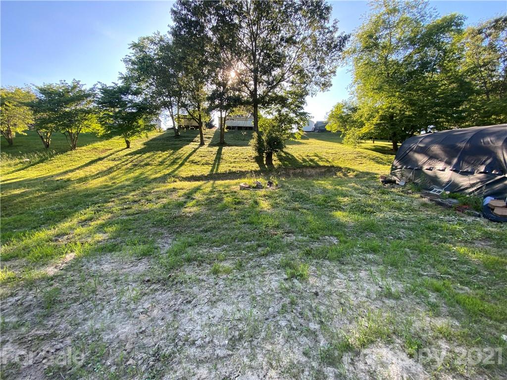 46 Austin Road Clyde, NC 28721 - Photo 20 of 20 a view of yard with large trees