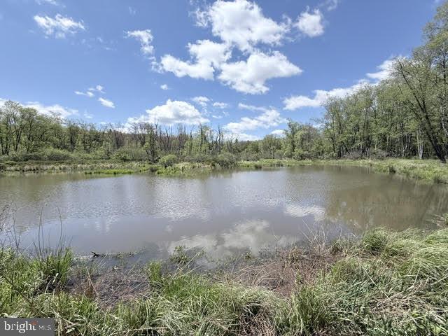 Turkey Neck Road Swanton, MD 21561 - Photo 18 of 23 a view of a lake with a city