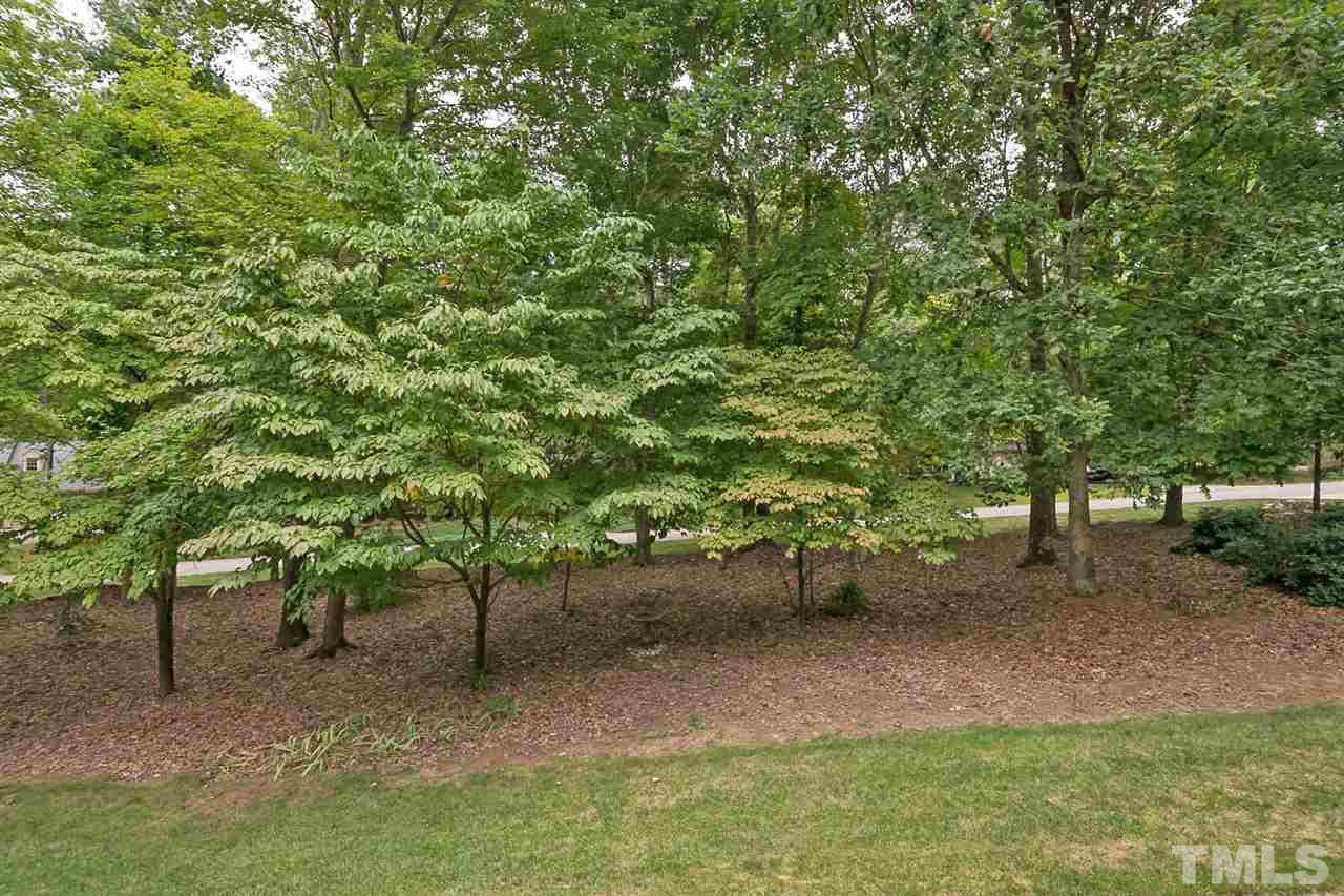 3020 Daventry Lane Raleigh, NC 27613 - Photo 3 of 25 a view of a backyard