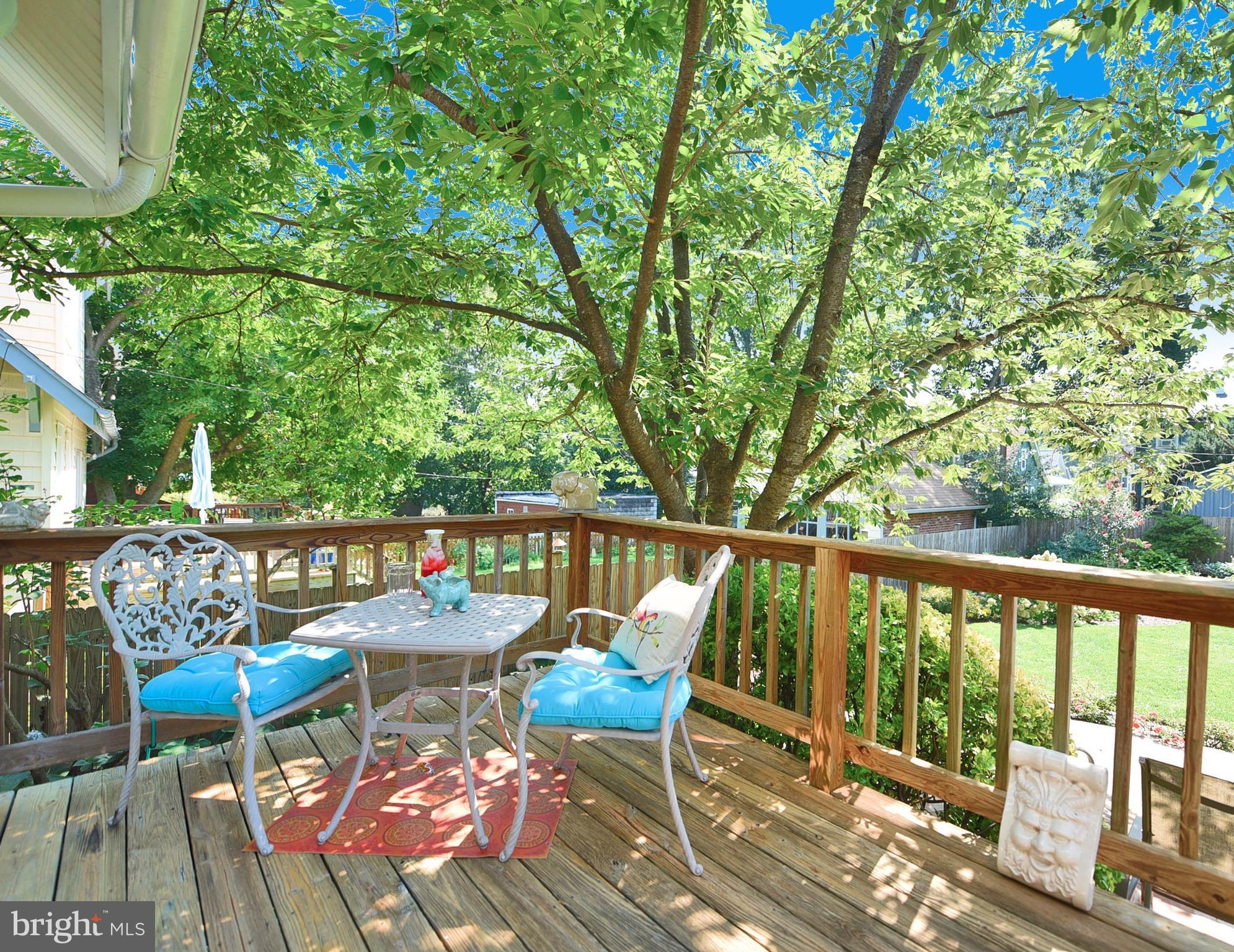 709 Hollen Road Baltimore, MD 21212 - Photo 29 of 30 Deck off the Kitchen with a Flowering Cherry Tree