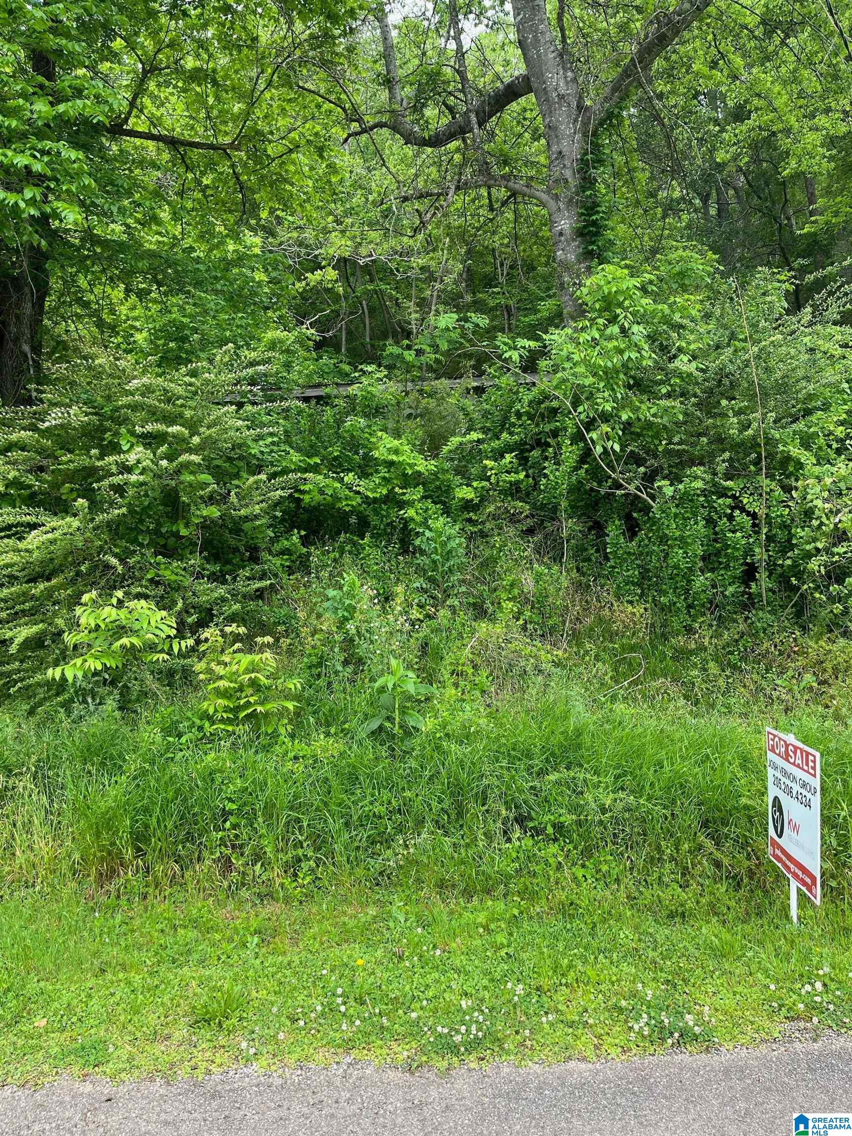 649 Cherokee Drive, Unit 4 Ragland, AL 35131 - Photo 3 of 4