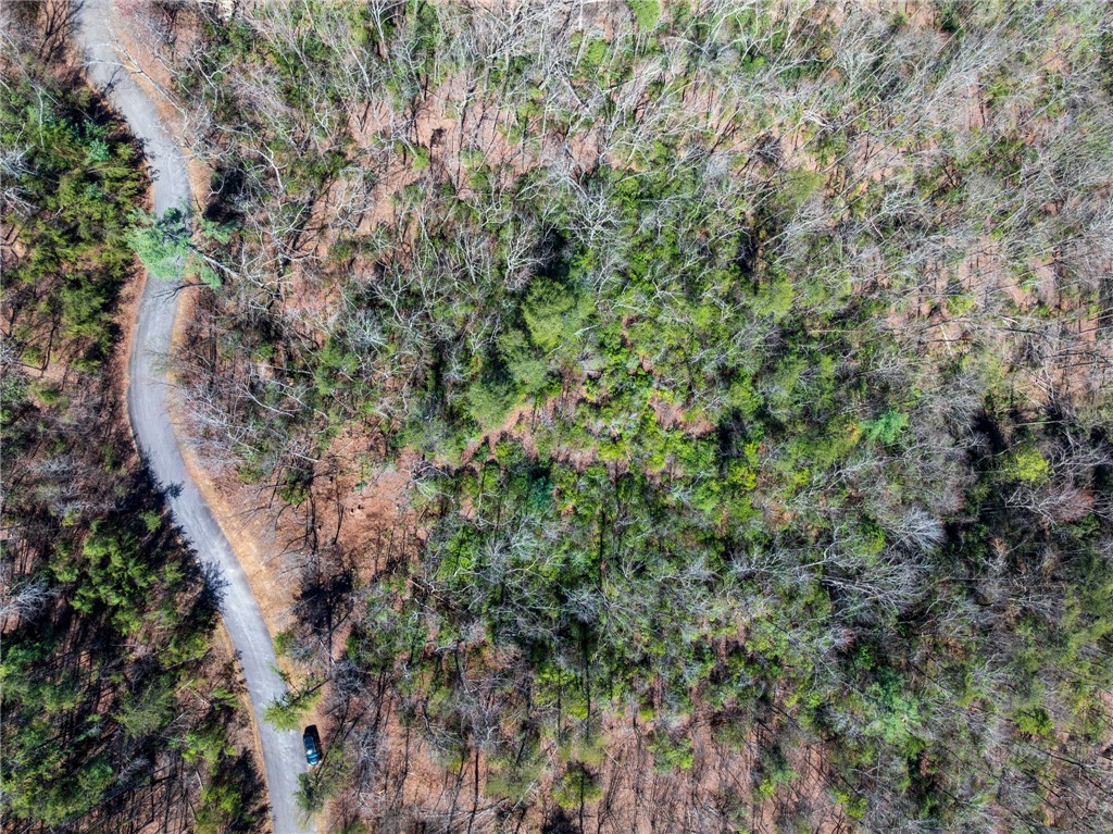 N30-n31 Jocassee Ridge Way Salem, SC 29676 - Photo 8 of 16